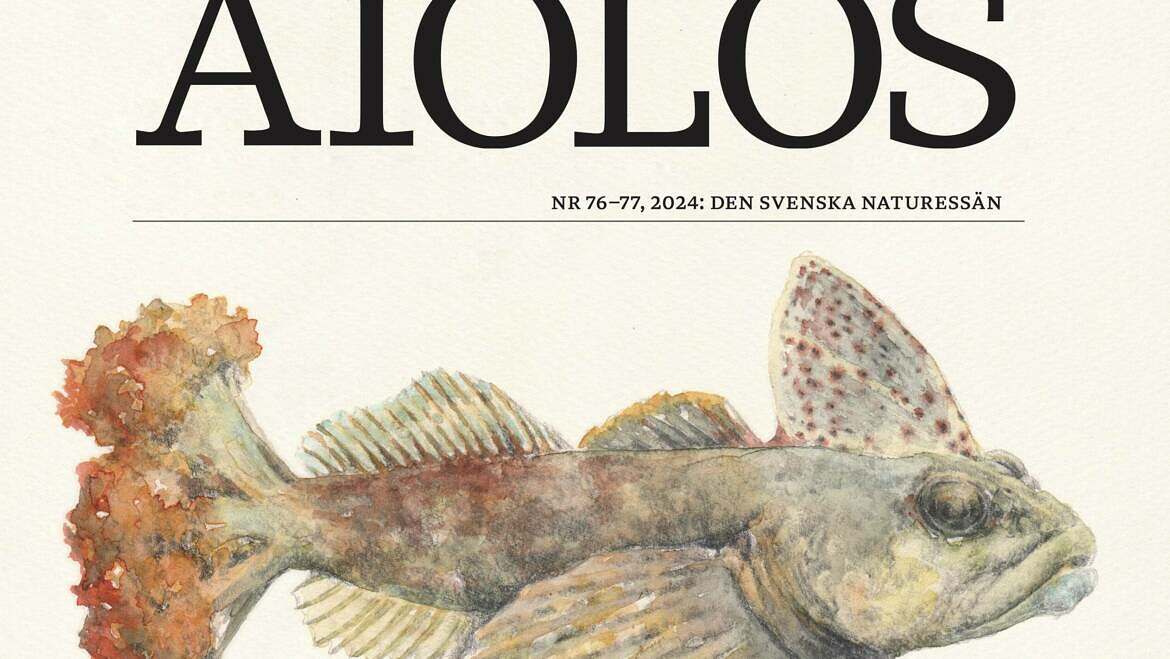 Nytt nummer av Aiolos