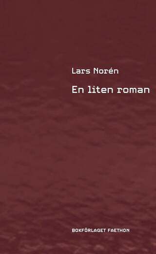 En liten roman