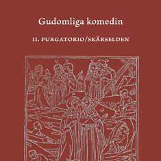 dante gudomliga komedin 2. purgatorio/skärselden 