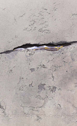 Concealed Landscapes