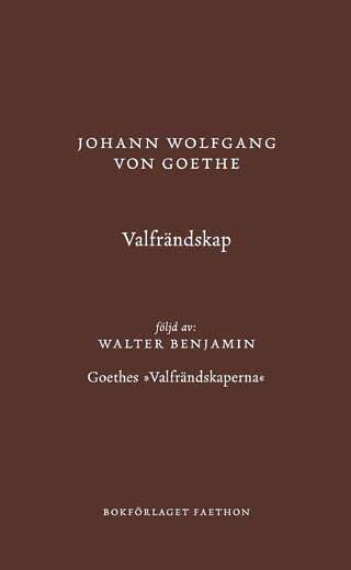 Valfrändskap (följd av Goethes »Valfrändskaperna«)
